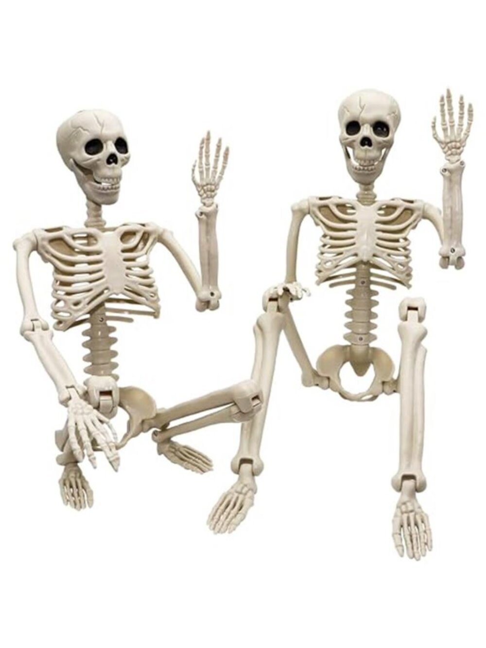 2 Pack 36"Halloween Skeleton - 3 ft Life Size Human Skeleton with Full Body